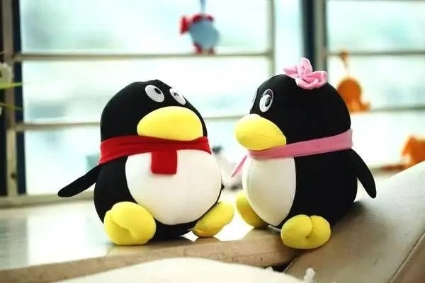 短位qq号哪里买?